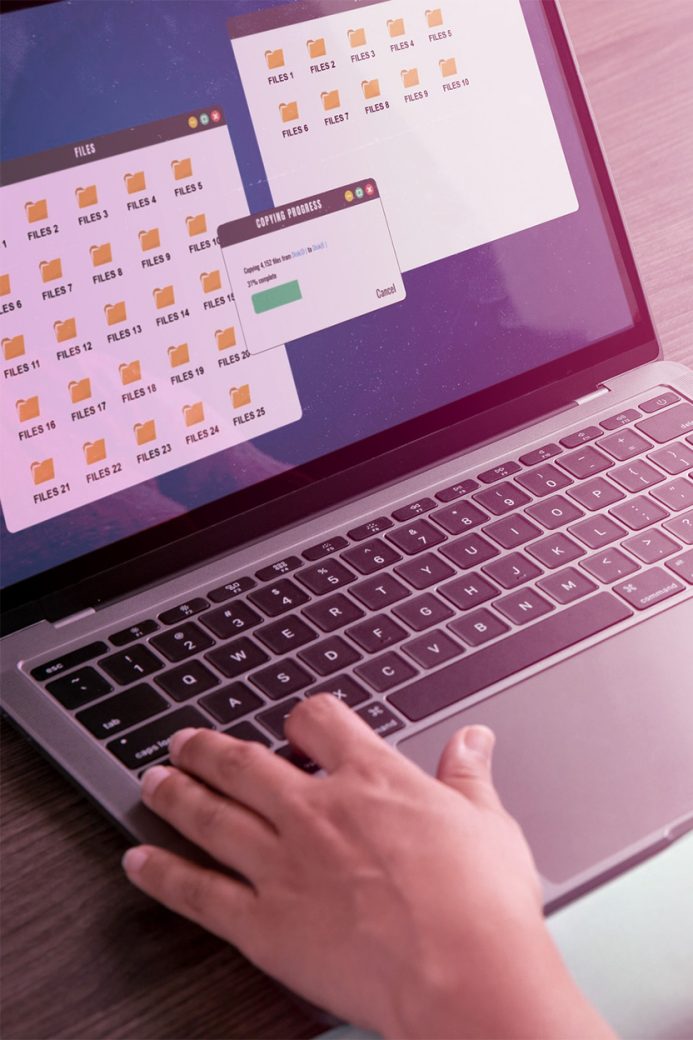 Colibri Gestion - accompagnement éleveurs - suivi et gestion mensuelle